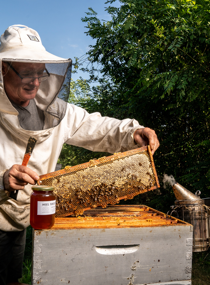 Apiculteur au milieu d'une ruche récoltant le miel au printemps 